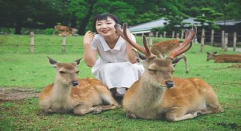 Why You Should Choose A Career In Zoology