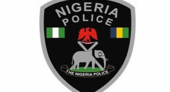 How To Check The Nigeria Police Recruitment Status; A Guide