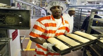 How To Commence A Bakery Business In Nigeria