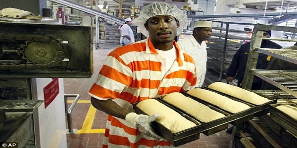 How To Commence A Bakery Business In Nigeria