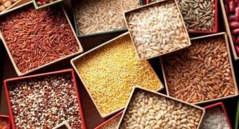 How To Start A Cereal Business In Nigeria