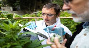 List Of Career Opportunities In Plant Science And Biotechnology In Nigeria