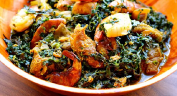How To Start A Soup Business In Nigeria